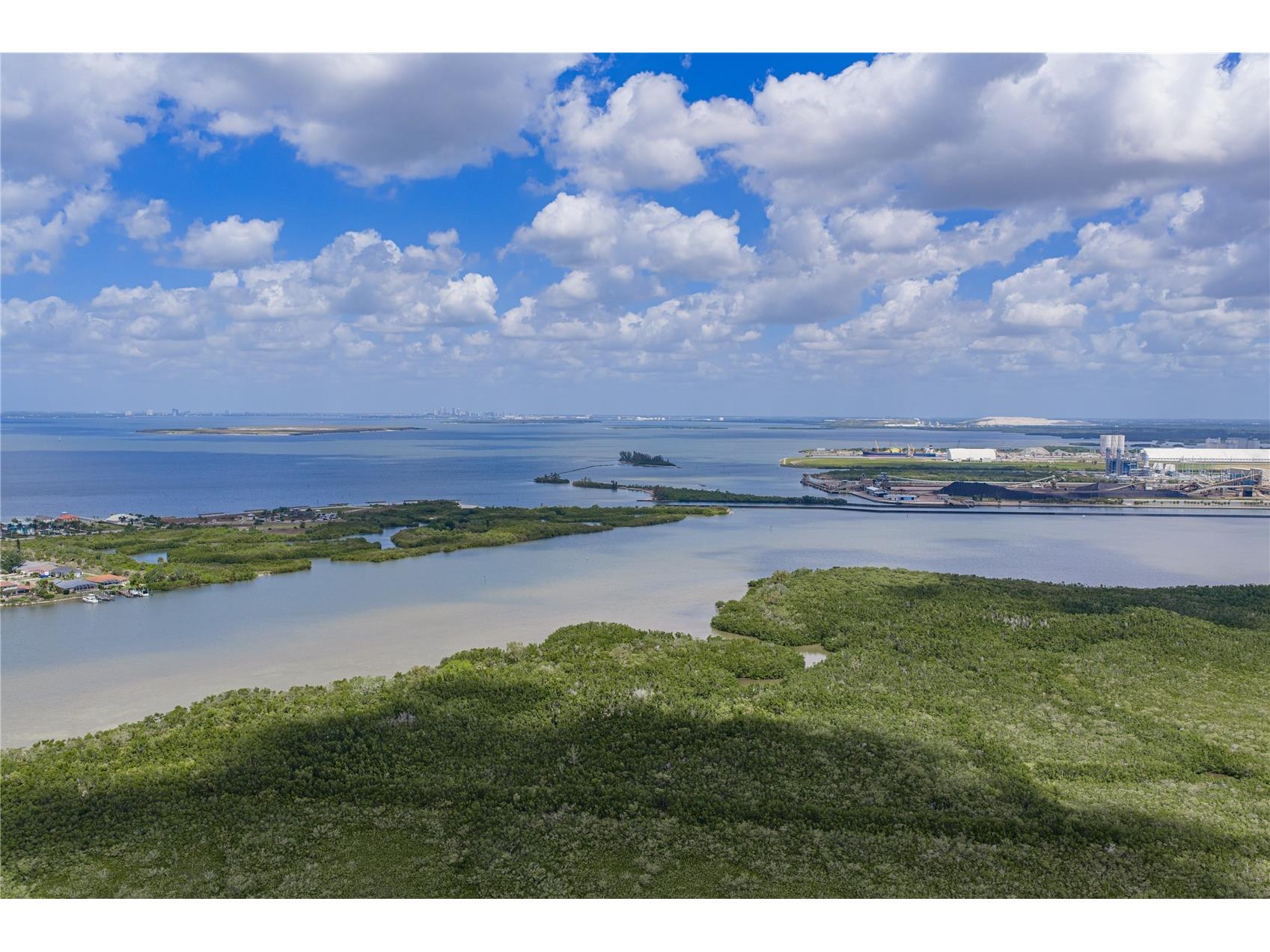 906 Sago Palm Way Apollo Beach FL 33572 TB8497725 image55