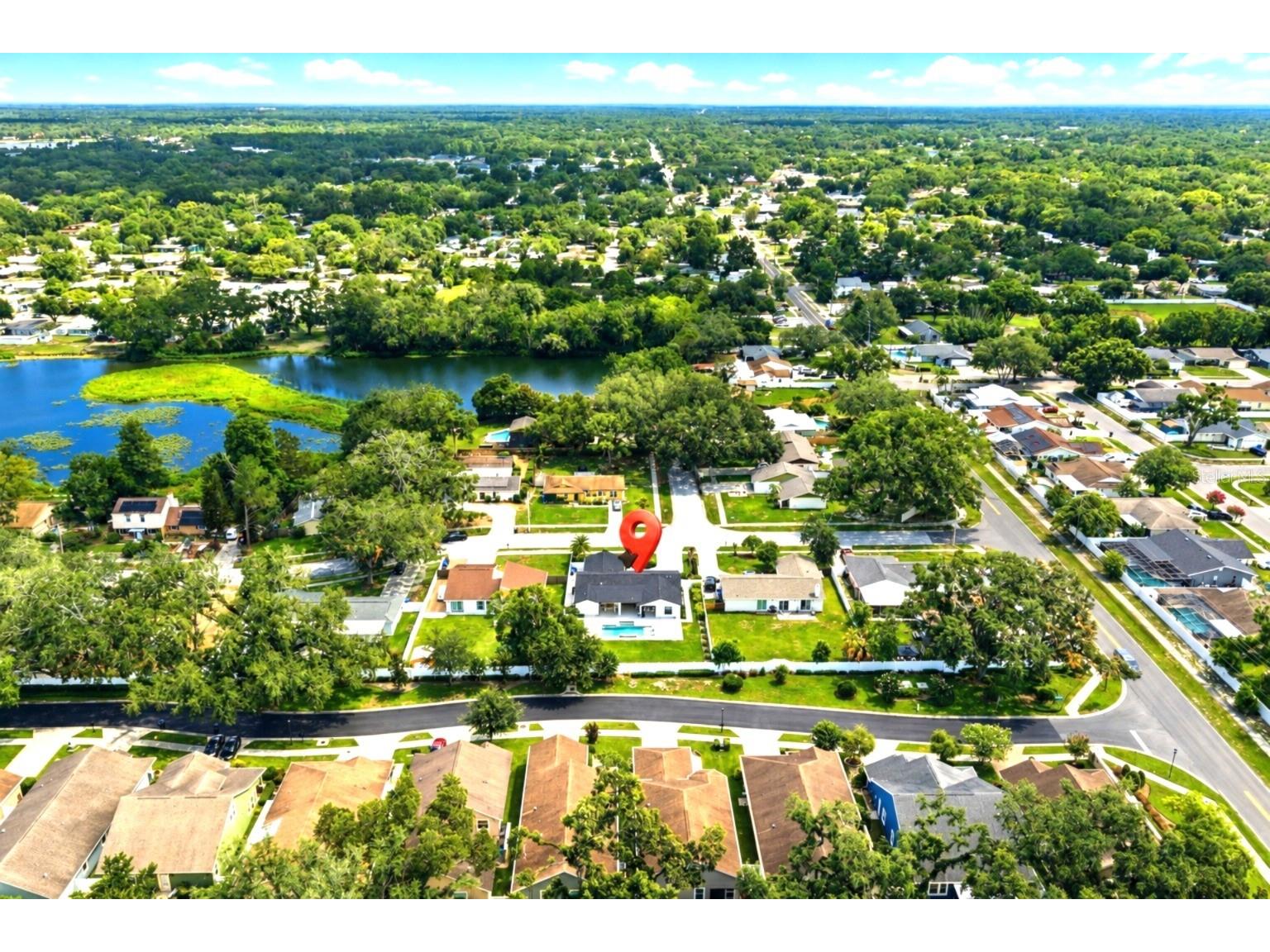 906 Samy Drive Tampa FL 33613 TB8520492 image53