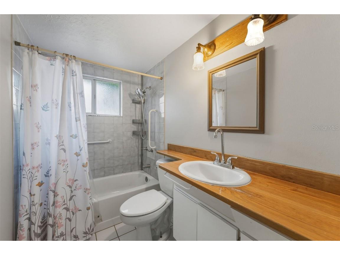 906 Stanberry Drive Brandon FL 33511 TB8445679 image21