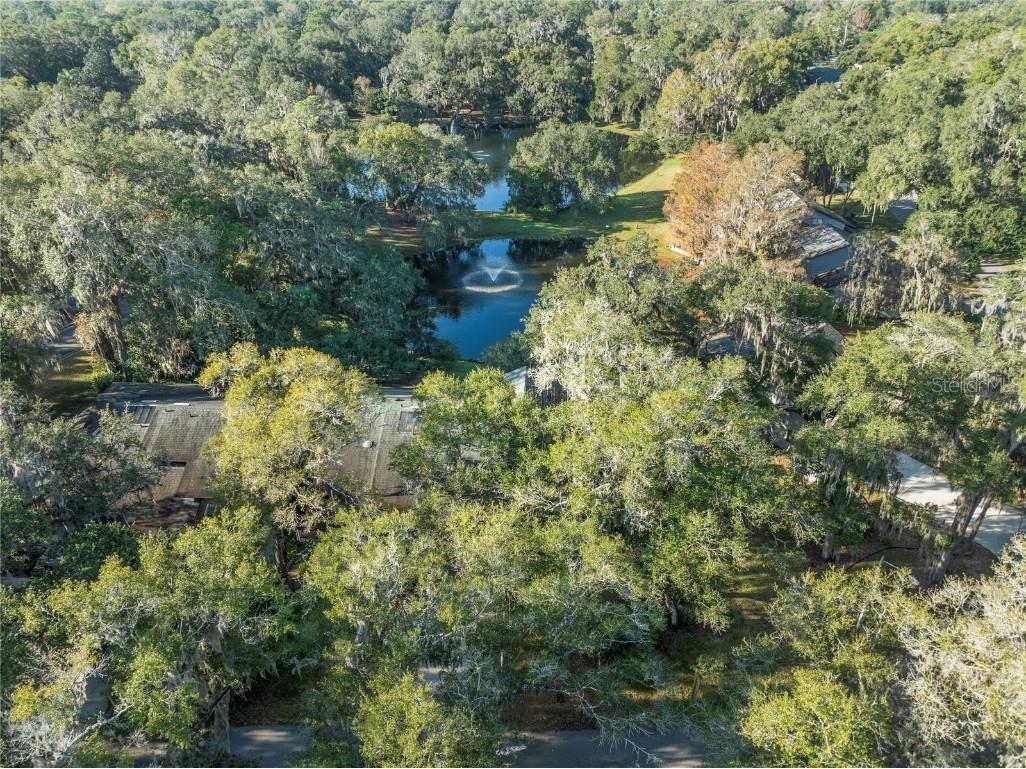 906 Village Green Road Deland FL 32720 V4946108 image43