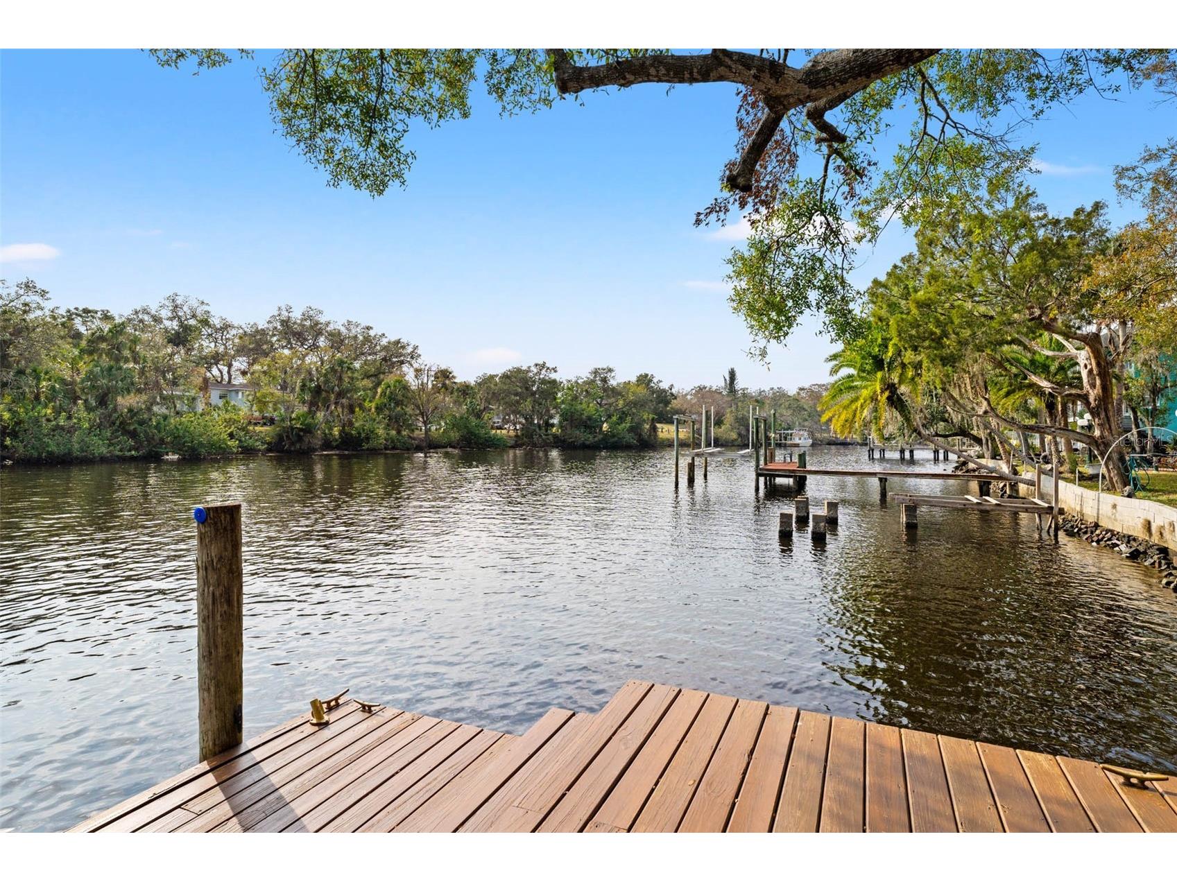 906 W Henry Avenue Tampa FL 33604 - HILLSBOROUGH RIVER TB8518555 image84