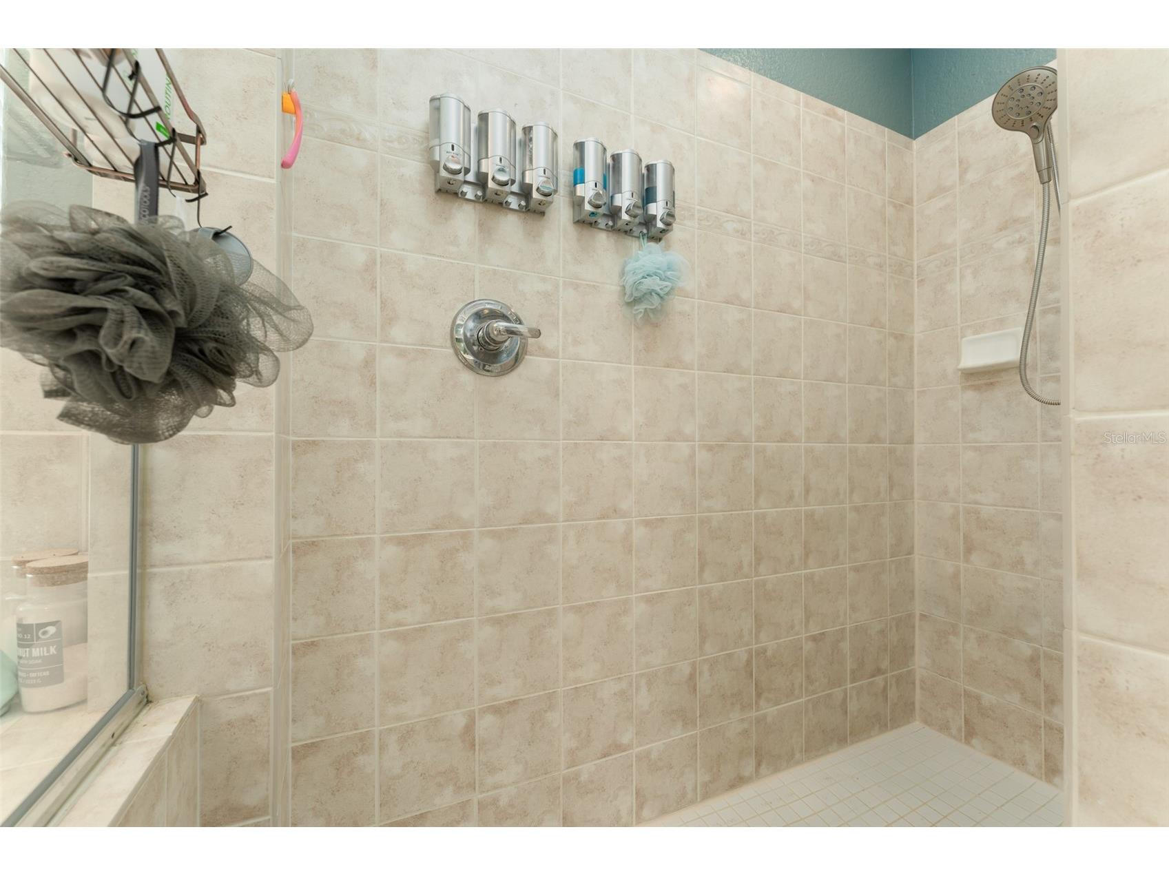 9060 Pinebreeze Drive Riverview FL 33578 TB8501452 image14
