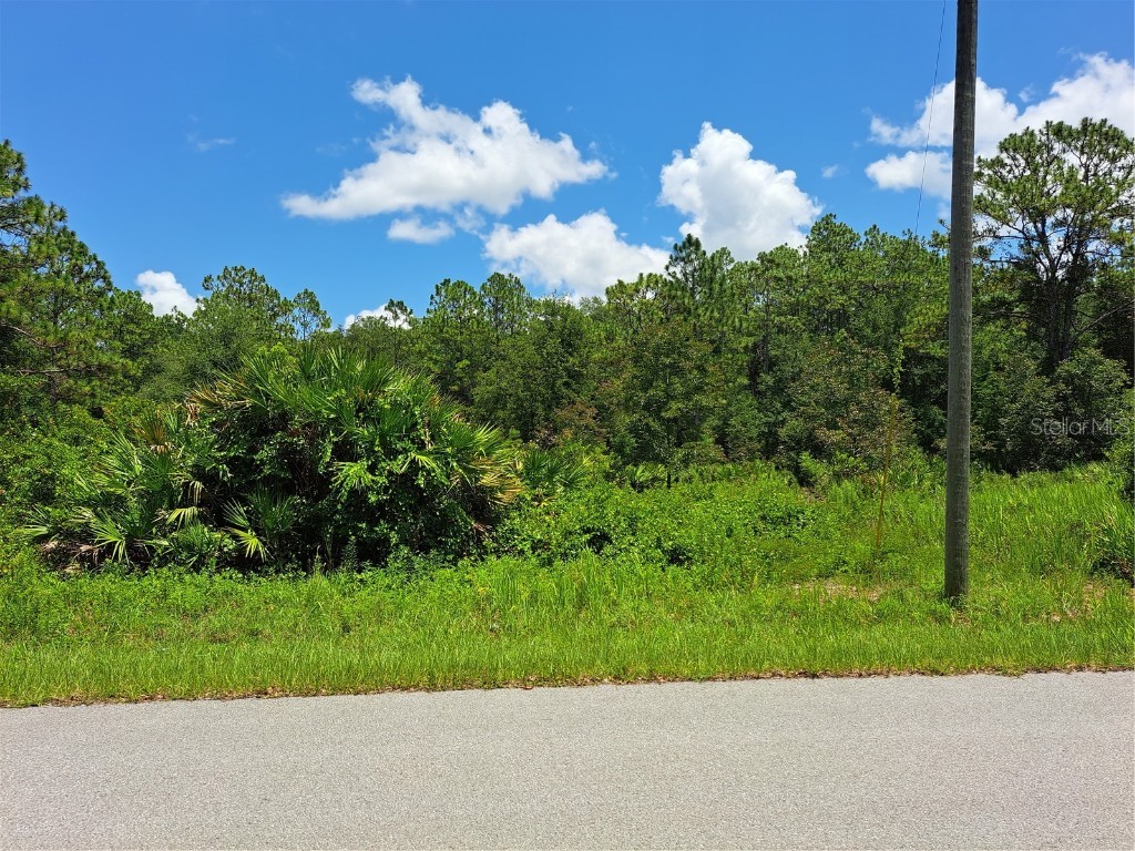 9060 Shasta Street Webster FL 33597 G5071322 image1