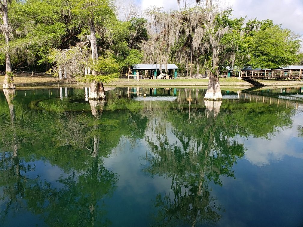 9061 Katherine Way Fanning Springs FL 32693 GC539633 image48