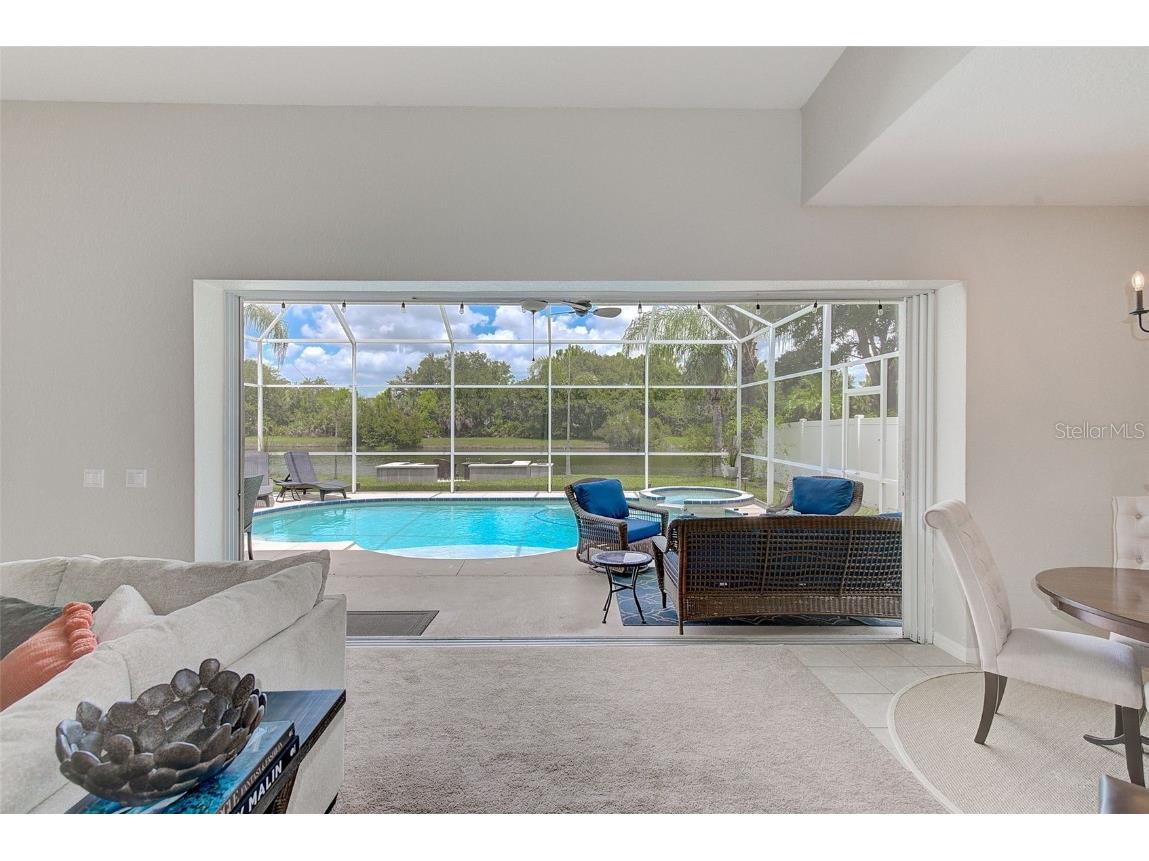 9061 Pinebreeze Drive Riverview FL 33578 U8250520 image1