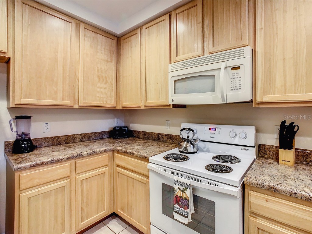 9061 Treasure Trove Lane #403 Kissimmee FL 34747 O6304247 image19