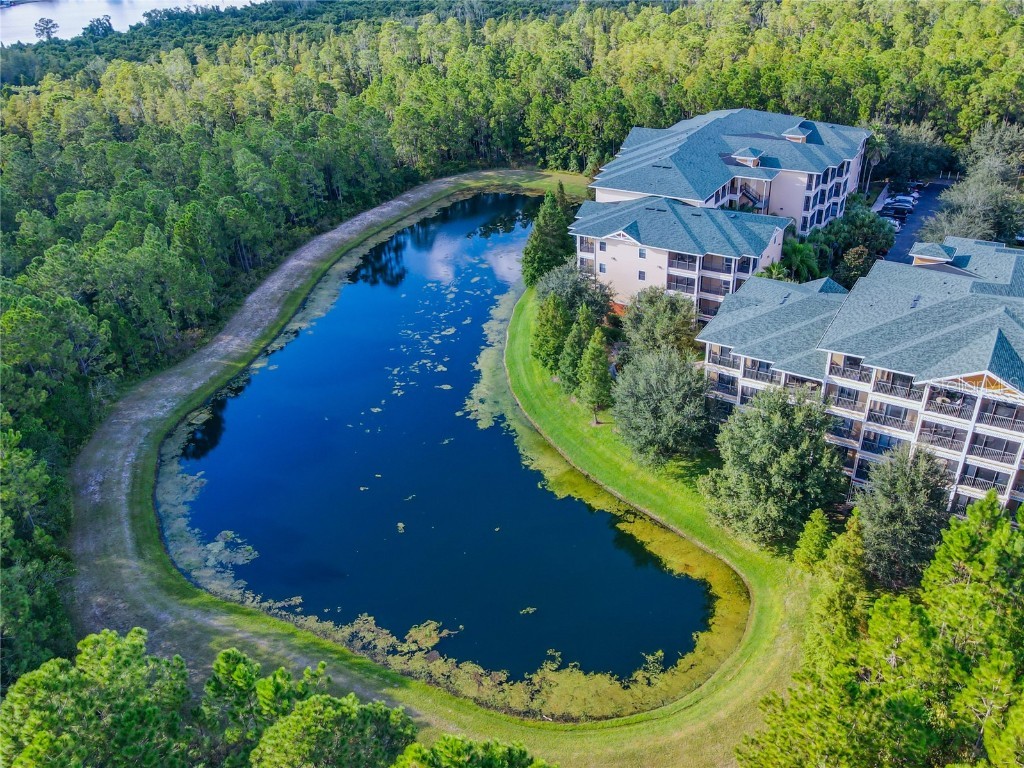 9061 Treasure Trove Lane #403 Kissimmee FL 34747 O6304247 image55