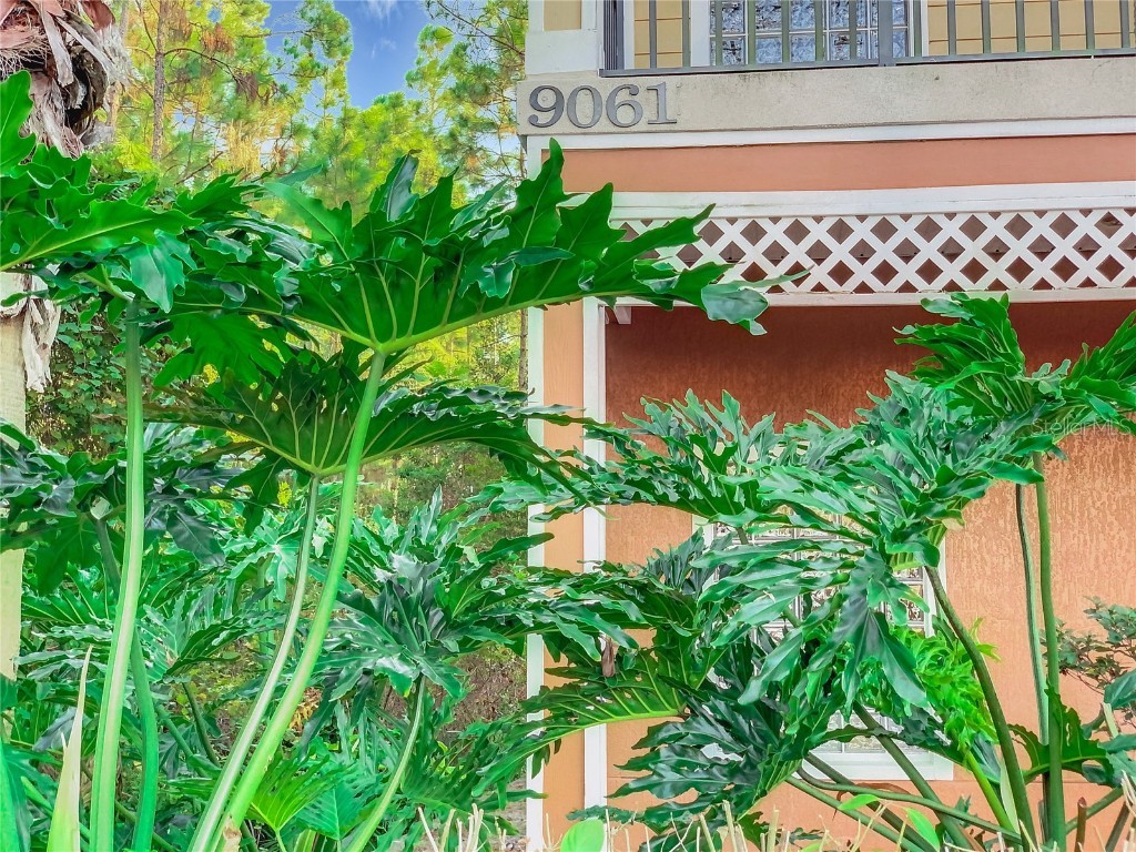 9061 Treasure Trove Lane #403 Kissimmee FL 34747 O6304247 image7