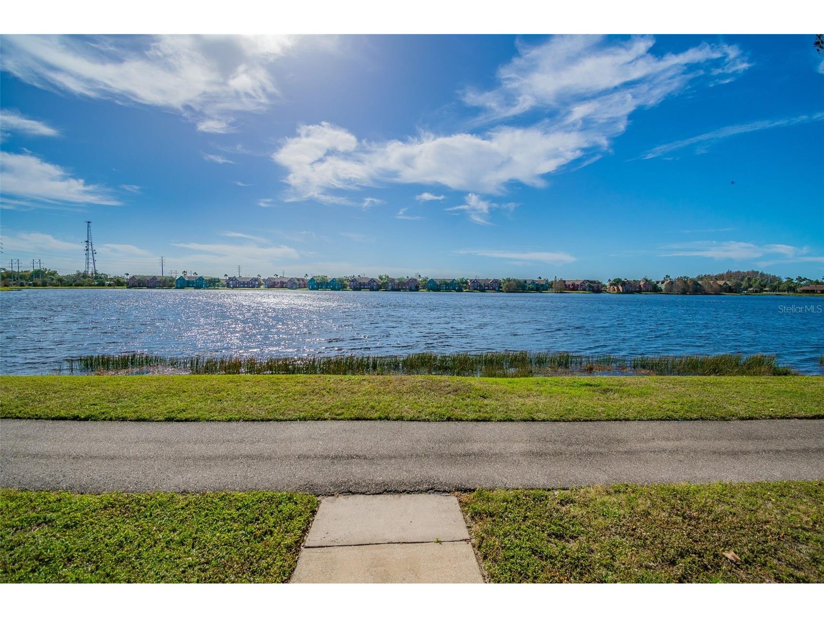 9064 Lake Chase Island Way Tampa FL 33626 TB8518902 image56