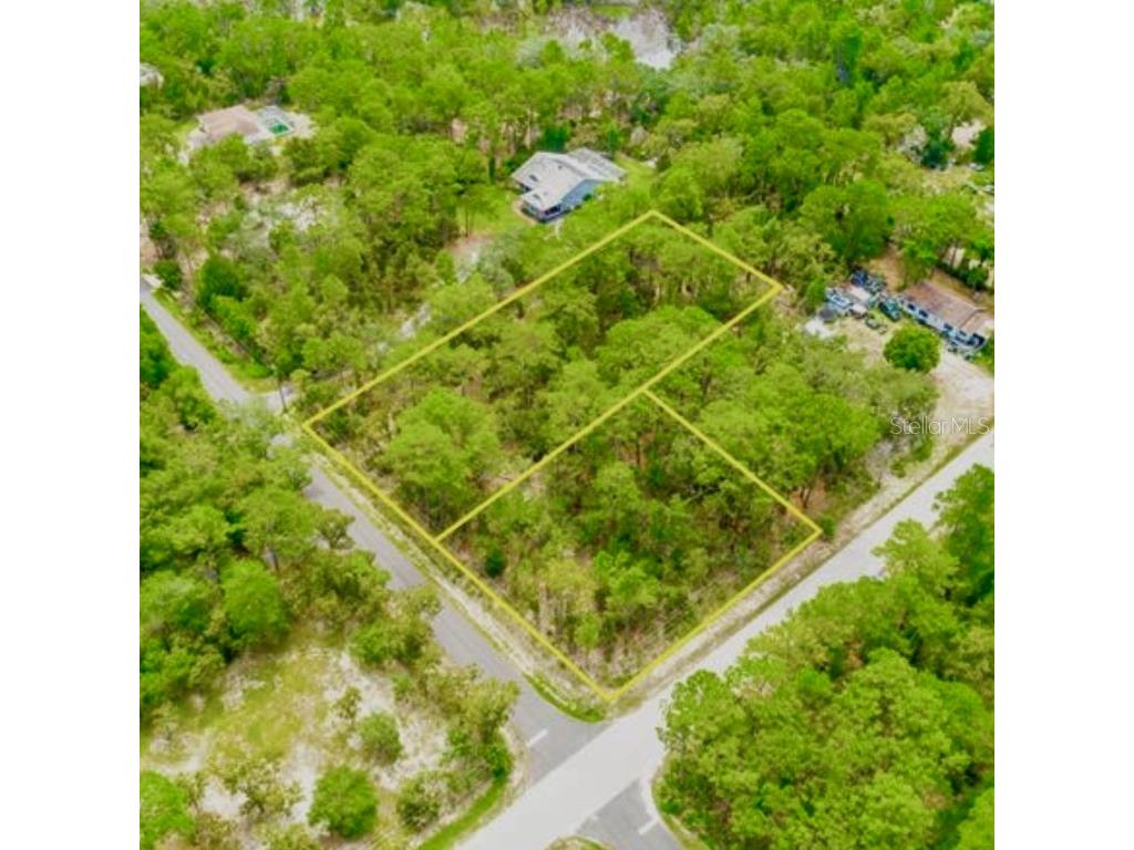 9064 Michigan Avenue Weeki Wachee FL 34613 T3536227 image1