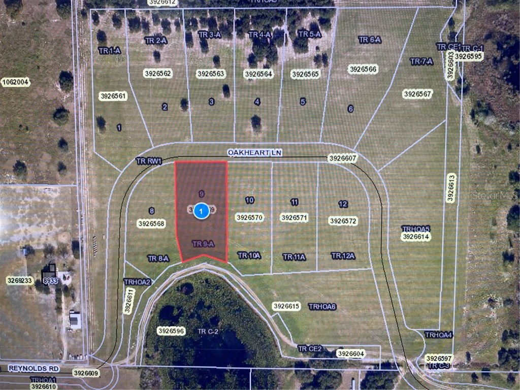 9065 Oakheart Lane Clermont FL 34711 J946460 image1