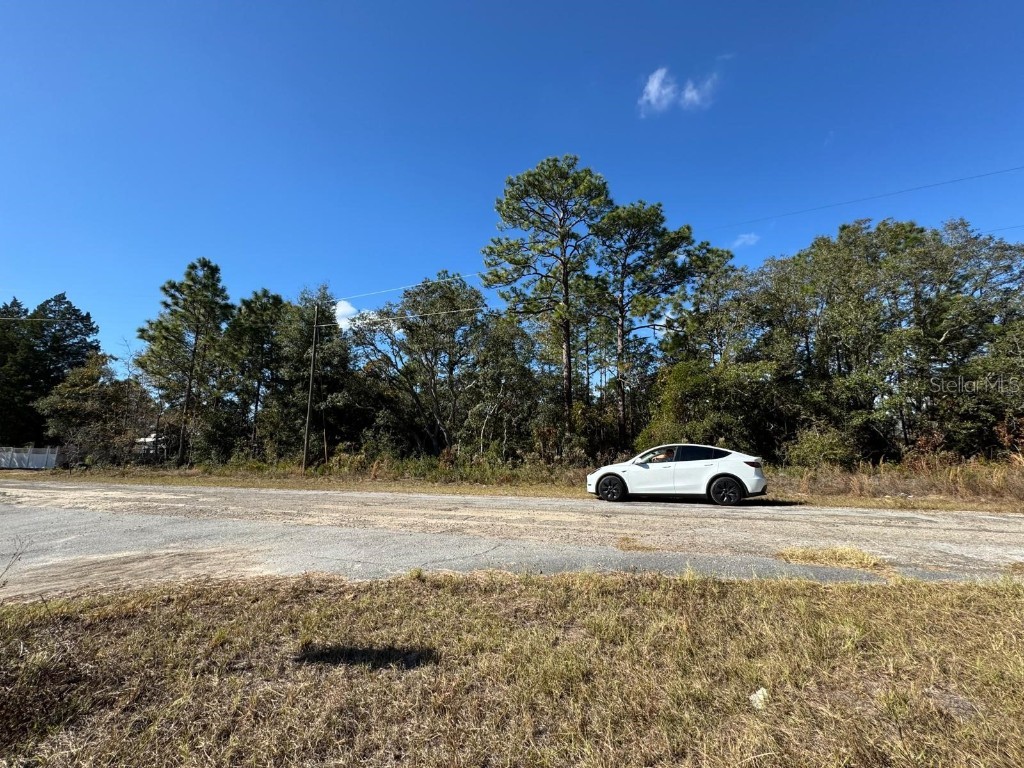 9066 N Burmany Way #6 Citrus Springs FL 34433 O6367522 image1