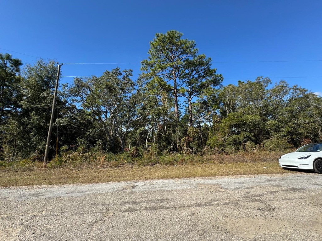 9066 N Burmany Way #6 Citrus Springs FL 34433 O6367522 image2