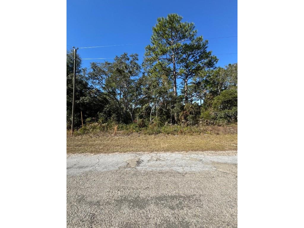 9066 N Burmany Way #6 Citrus Springs FL 34433 O6367522 image3