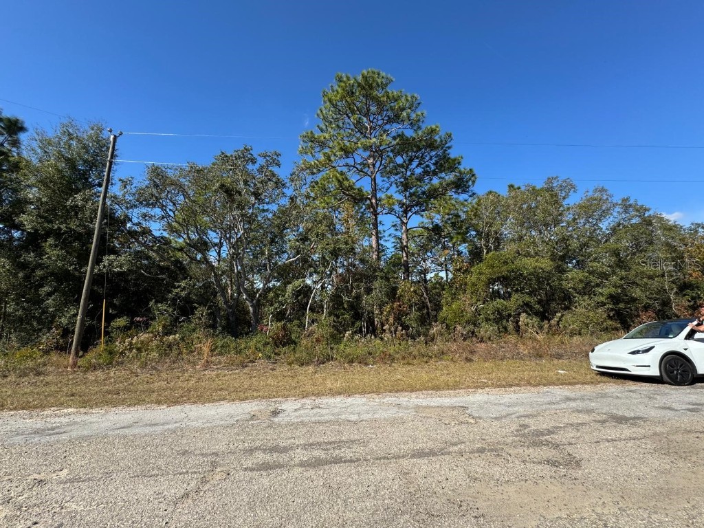 9066 N Burmany Way #6 Citrus Springs FL 34433 O6367522 image4