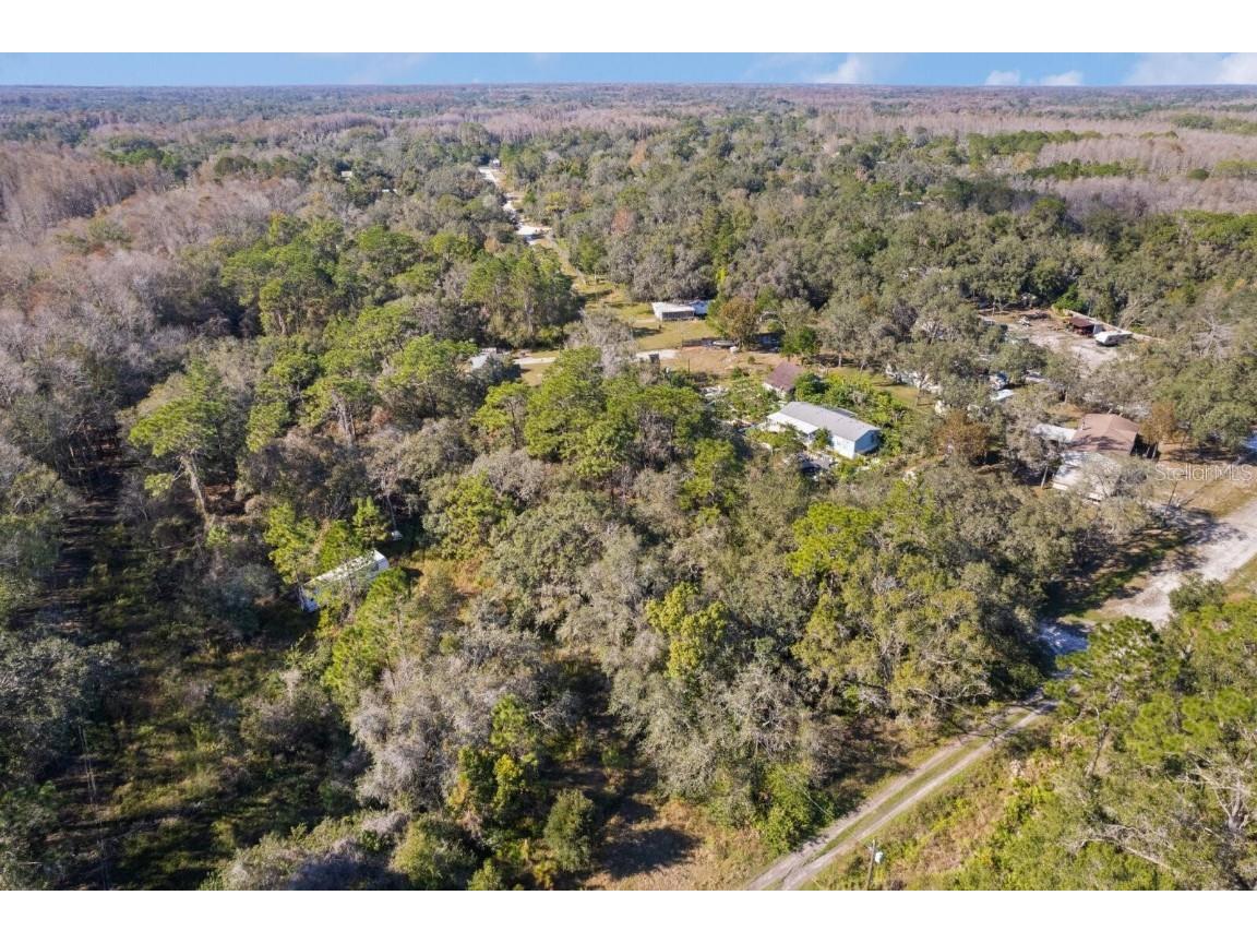 9067 Elza Street New Port Richey FL 34654 C7490044 image1