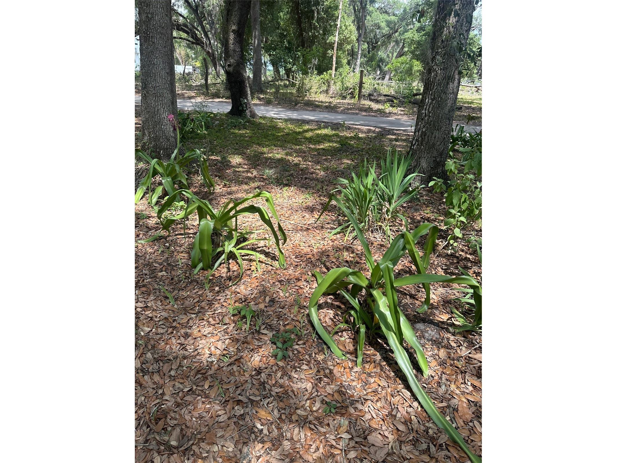 9068 SE 12th Drive Webster FL 33597 TB8504851 image2