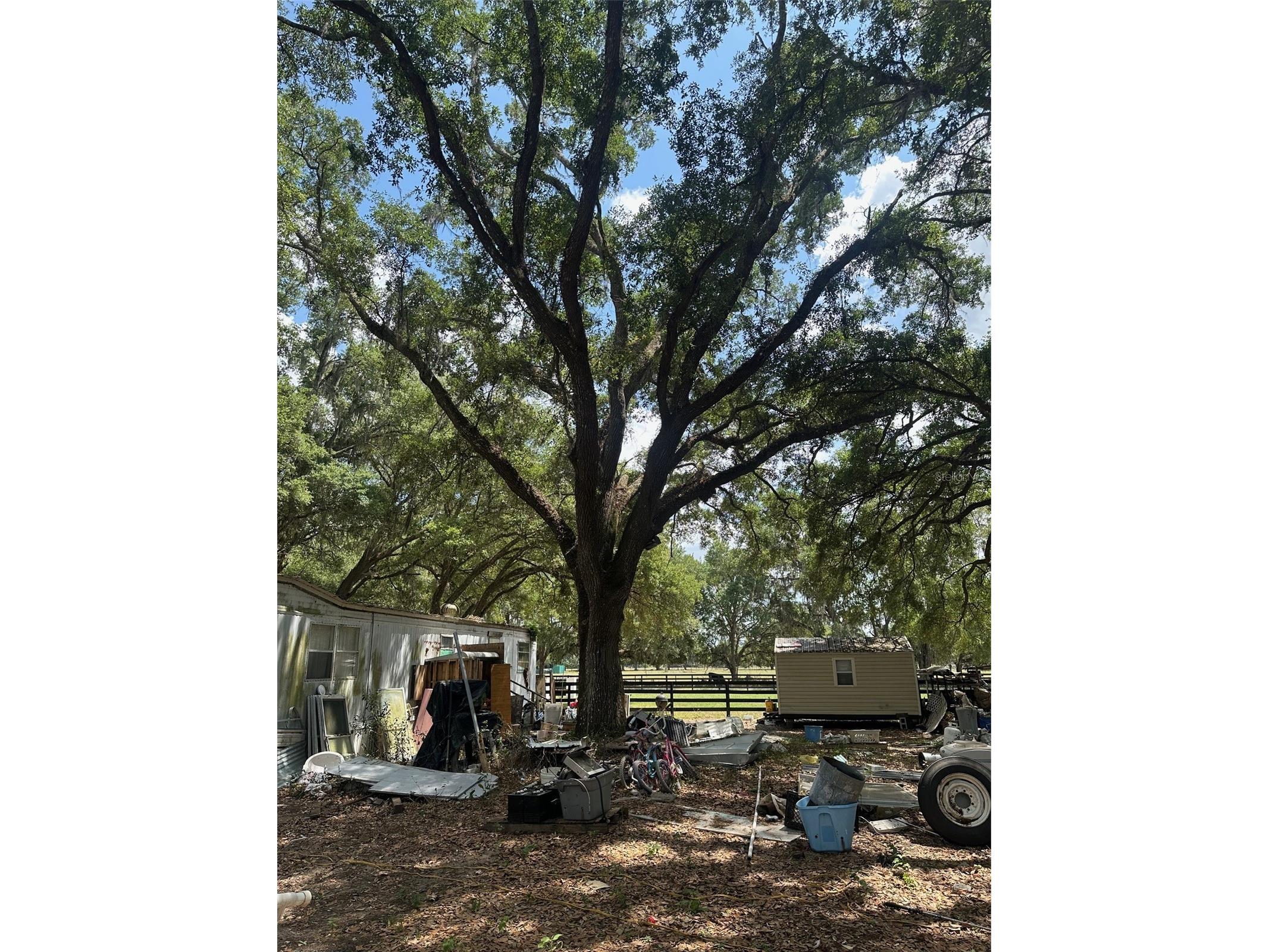 9068 SE 12th Drive Webster FL 33597 TB8504851 image8