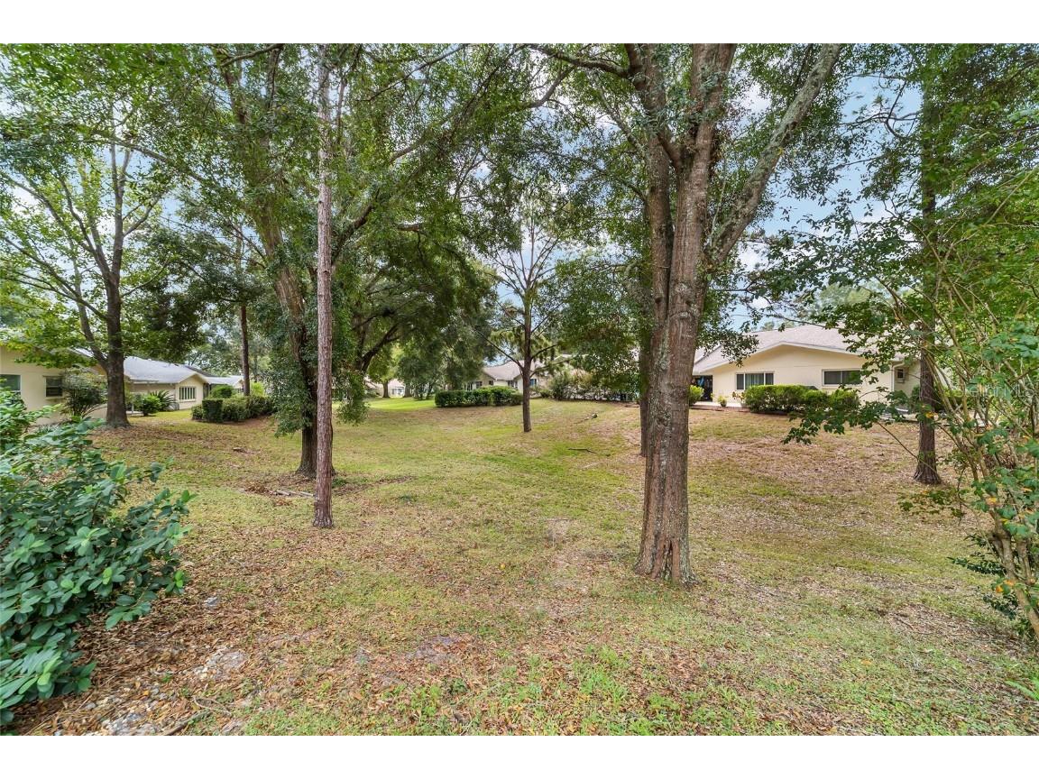 9068 SW 82nd Terrace #A Ocala FL 34481 OM712084 image28