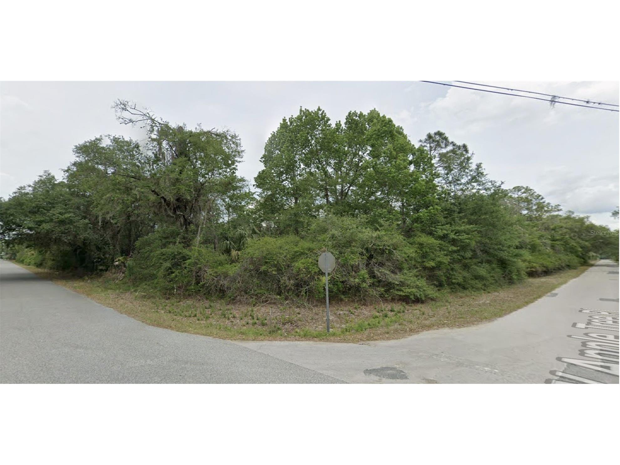 9069 N Cacalia Drive Crystal River FL 34428 G5105603 image2