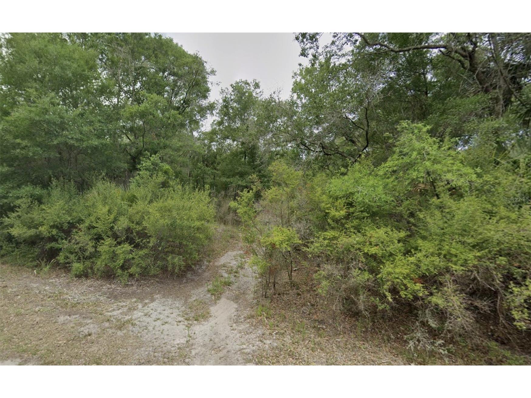 9069 N Cacalia Drive Crystal River FL 34428 G5105603 image3