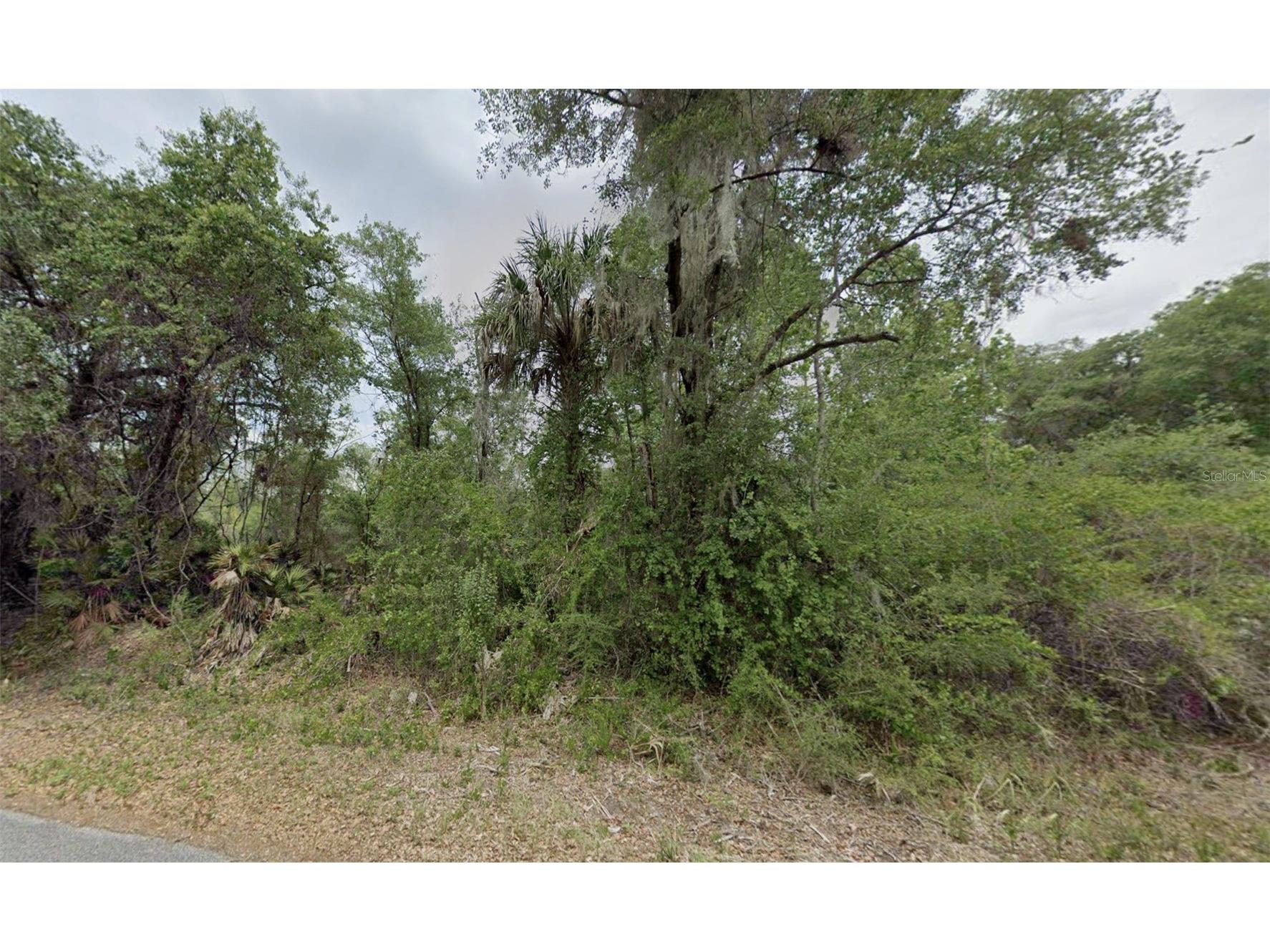 9069 N Cacalia Drive Crystal River FL 34428 G5105603 image4