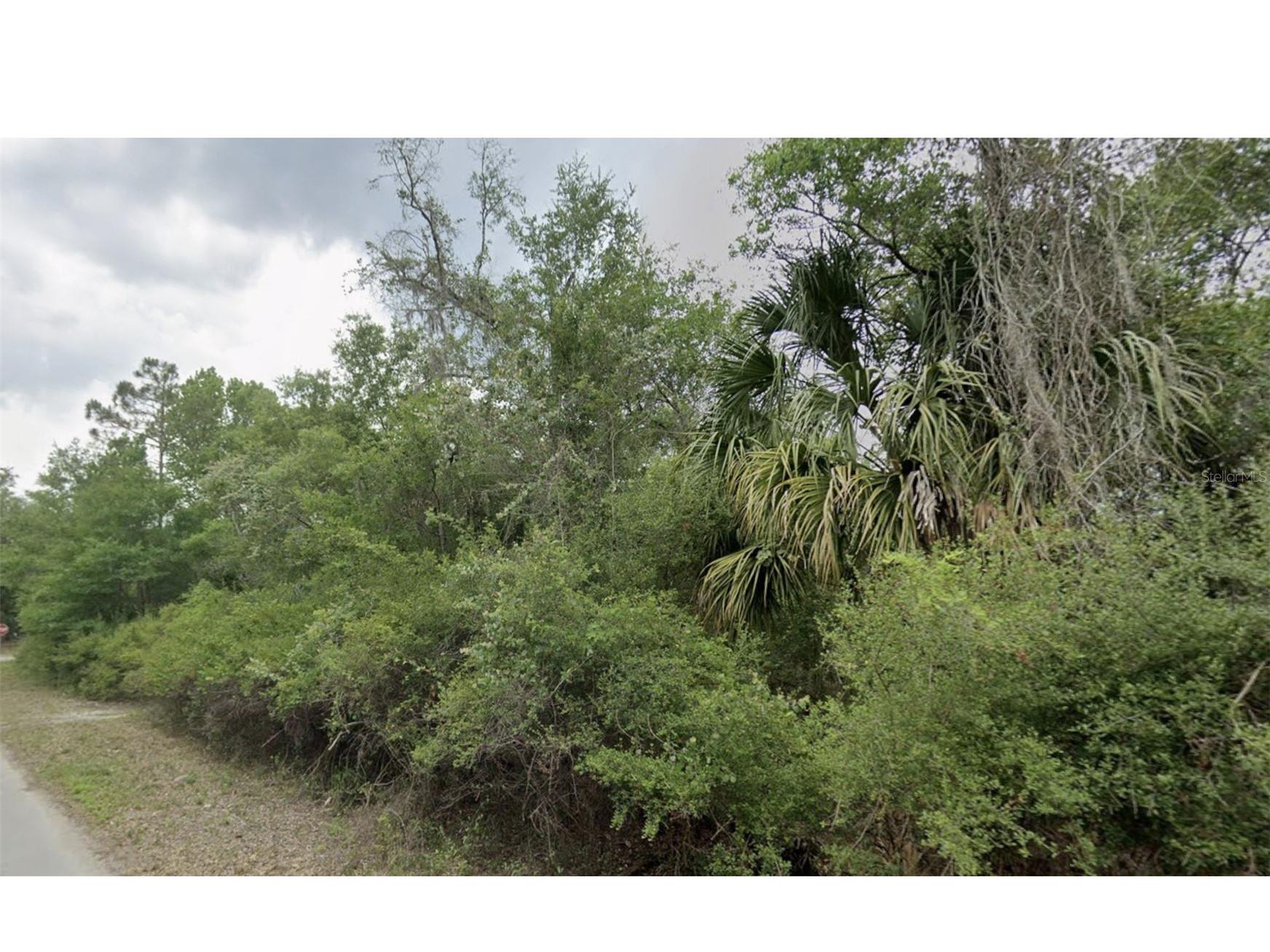 9069 N Cacalia Drive Crystal River FL 34428 G5105603 image5