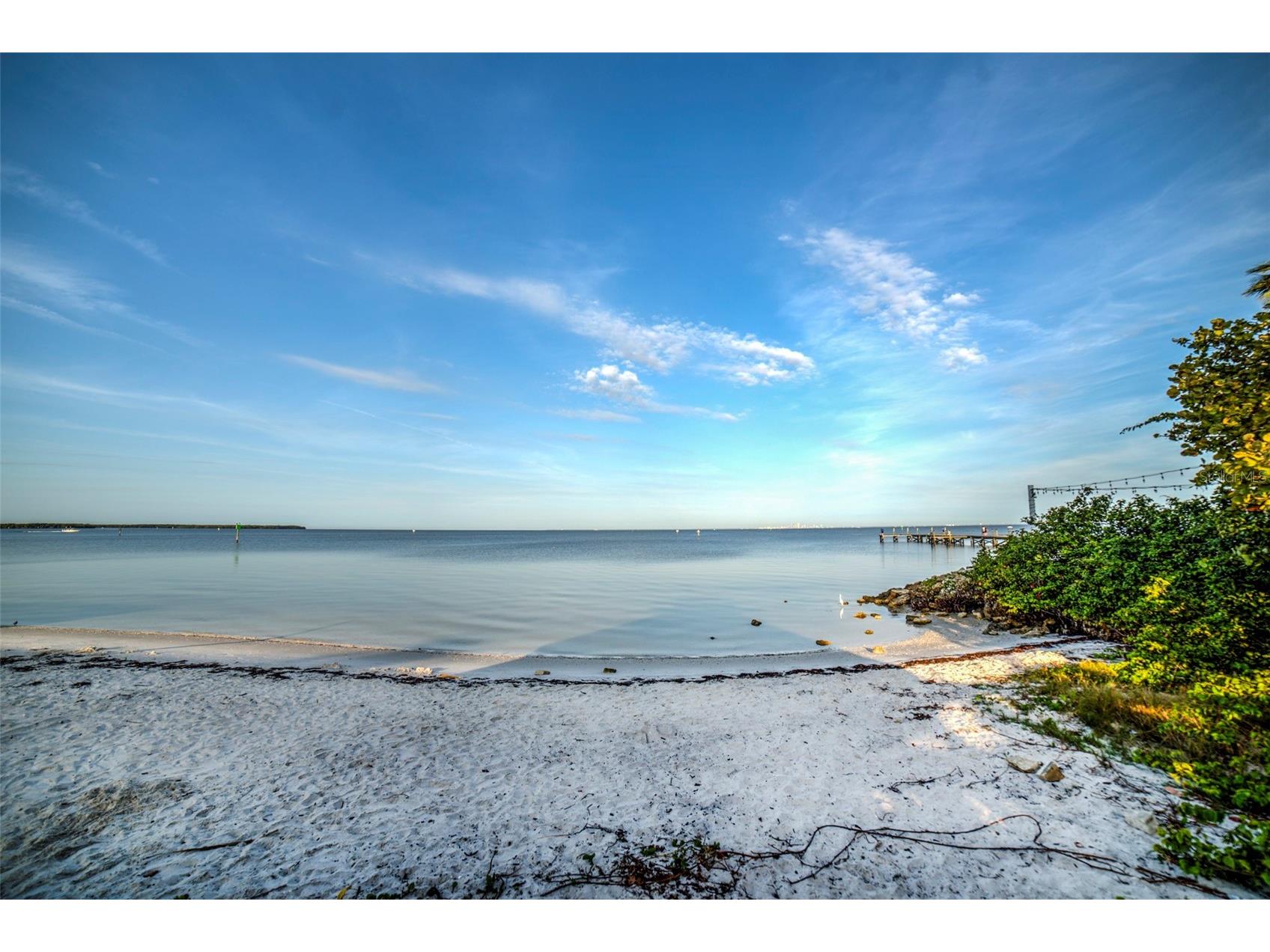 907 Bahia Del Sol Drive #907 Ruskin FL 33570 A4675337 image44