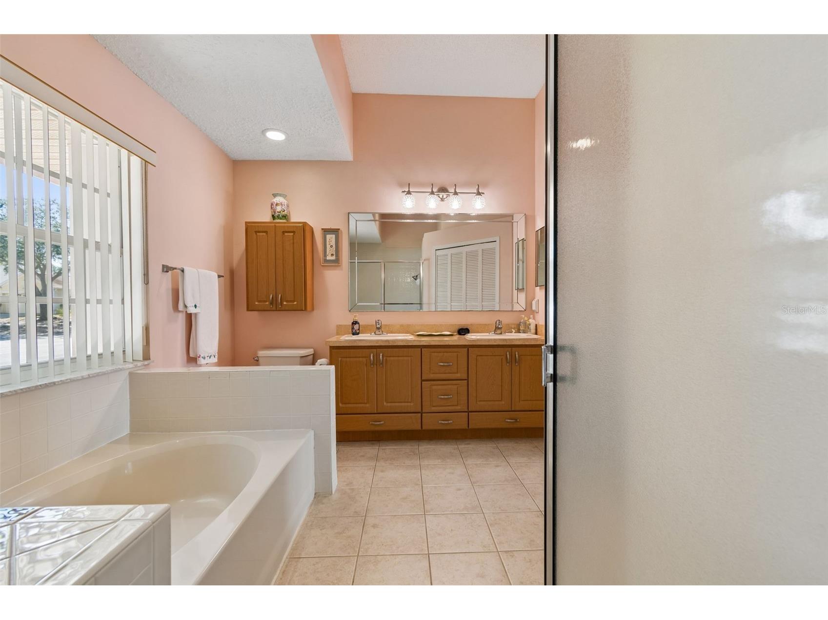 907 Brittany Park Boulevard Tarpon Springs FL 34689 W7885356 image30