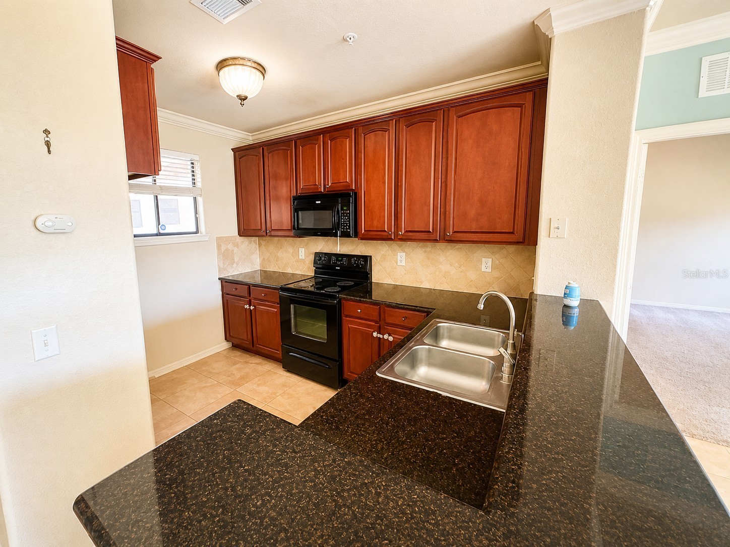 907 Charo Parkway #915 Davenport FL 33897 S5148944 image3