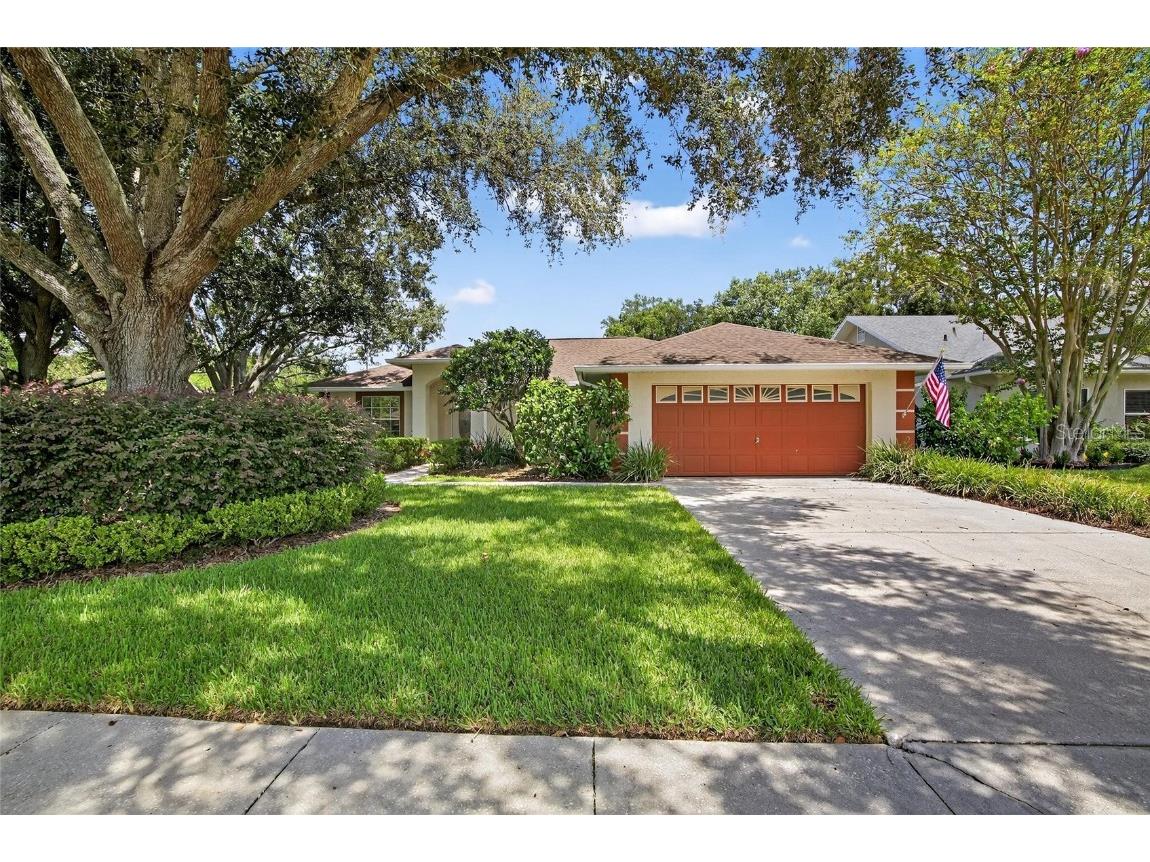 907 Clearcreek Drive Tampa FL 33613 TB8416276 image1