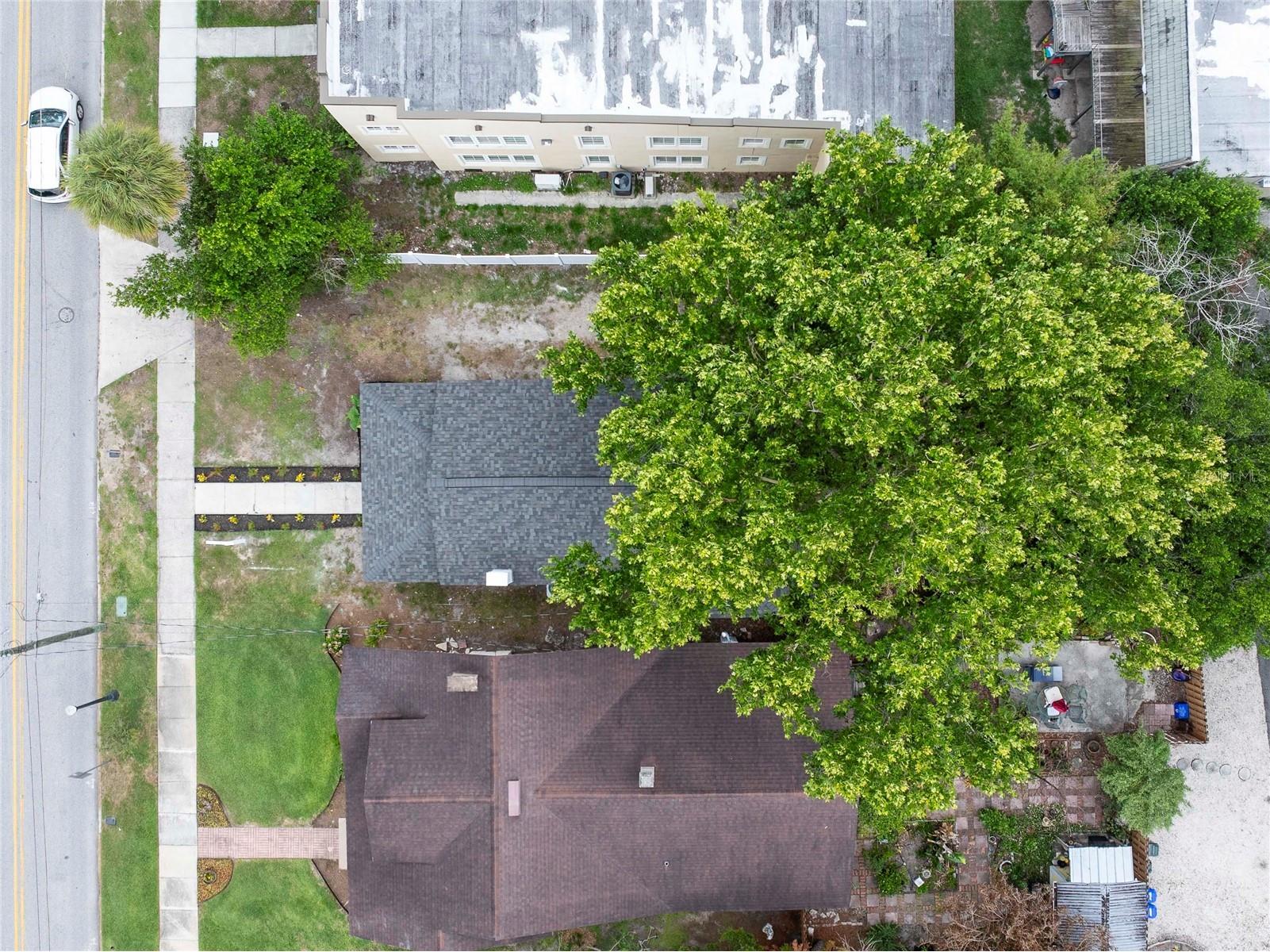 907 E Palmetto Street Lakeland FL 33801 L4961806 image31