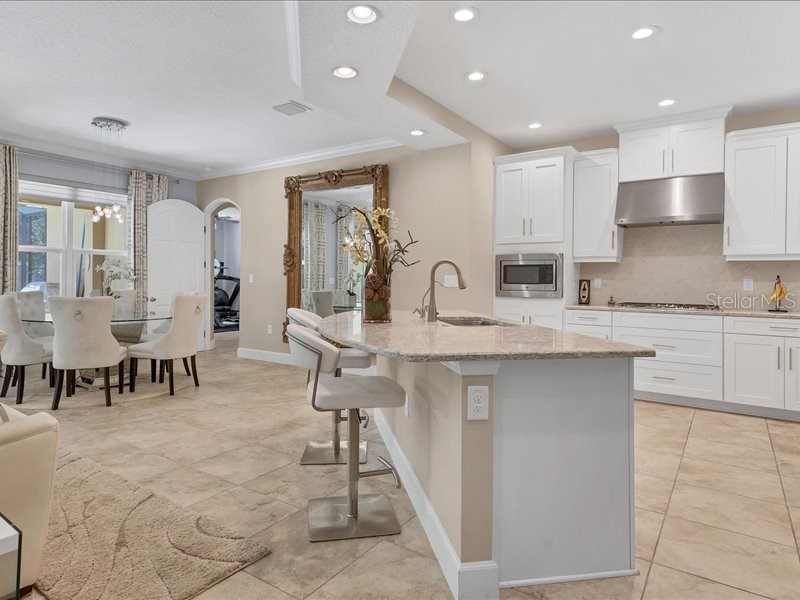 907 Heritage Groves Drive Brandon FL 33510 TB8414344 image21