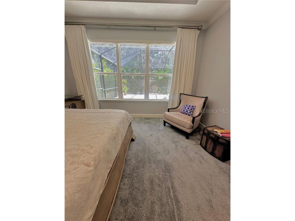 907 Heritage Groves Drive Brandon FL 33510 TB8414344 image31