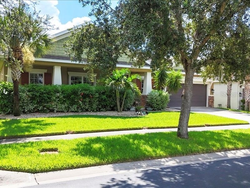 907 Heritage Groves Drive Brandon FL 33510 TB8414344 image5