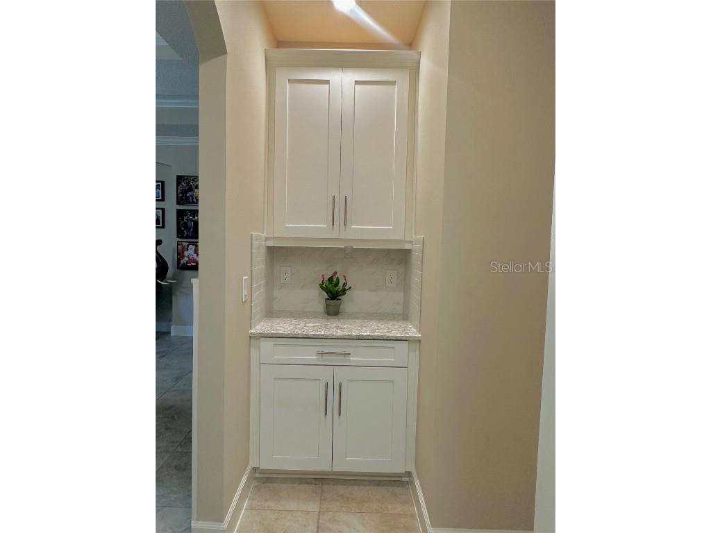 907 Heritage Groves Drive Brandon FL 33510 TB8414344 image51