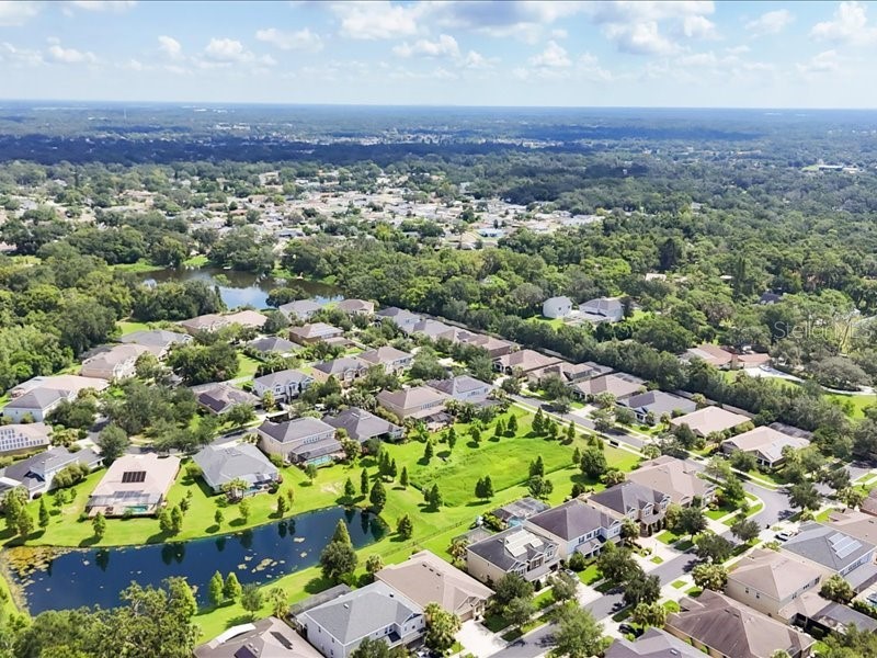 907 Heritage Groves Drive Brandon FL 33510 TB8414344 image6