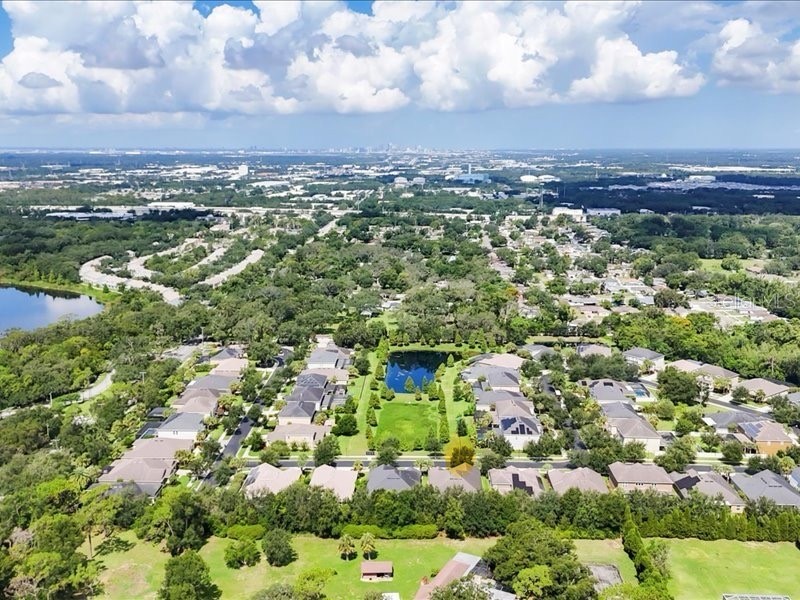 907 Heritage Groves Drive Brandon FL 33510 TB8414344 image60