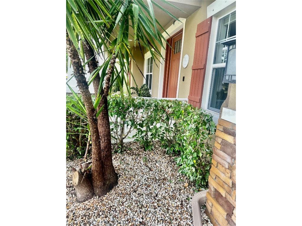 907 Heritage Groves Drive Brandon FL 33510 TB8414344 image64