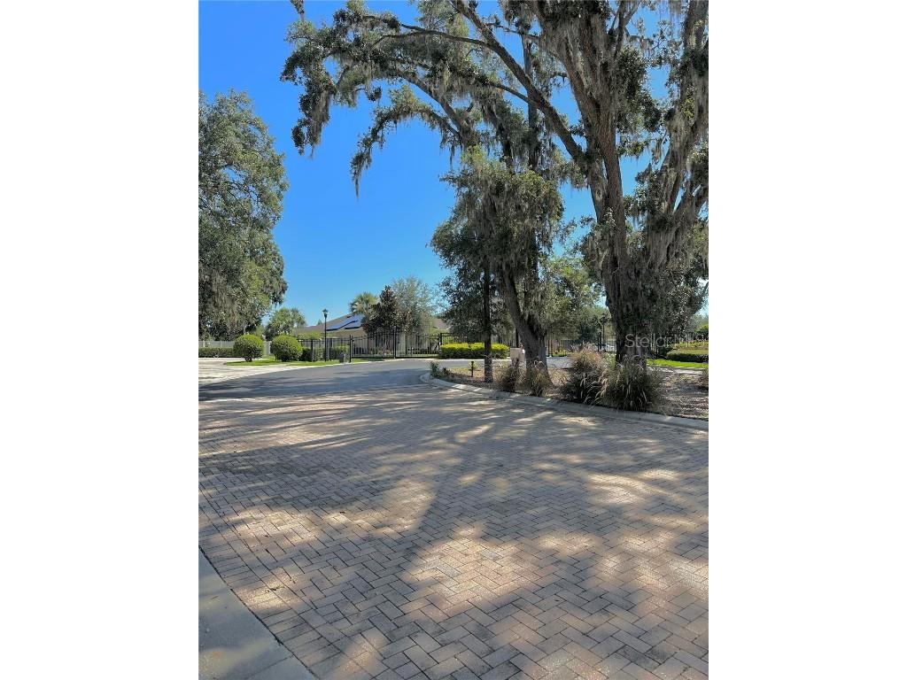 907 Heritage Groves Drive Brandon FL 33510 TB8414344 image68