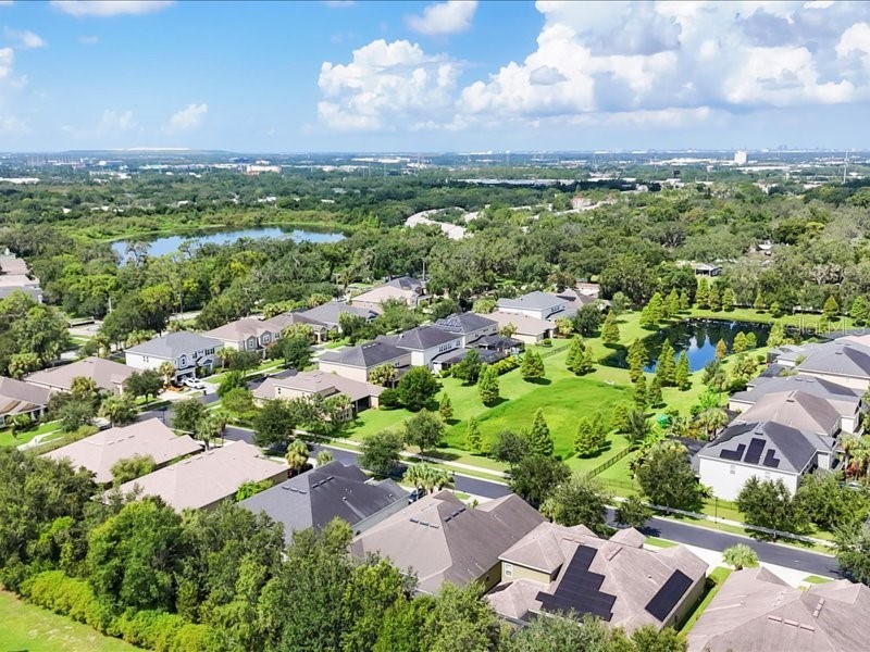 907 Heritage Groves Drive Brandon FL 33510 TB8414344 image7