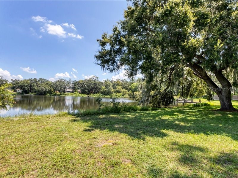 907 Heritage Groves Drive Brandon FL 33510 TB8414344 image70