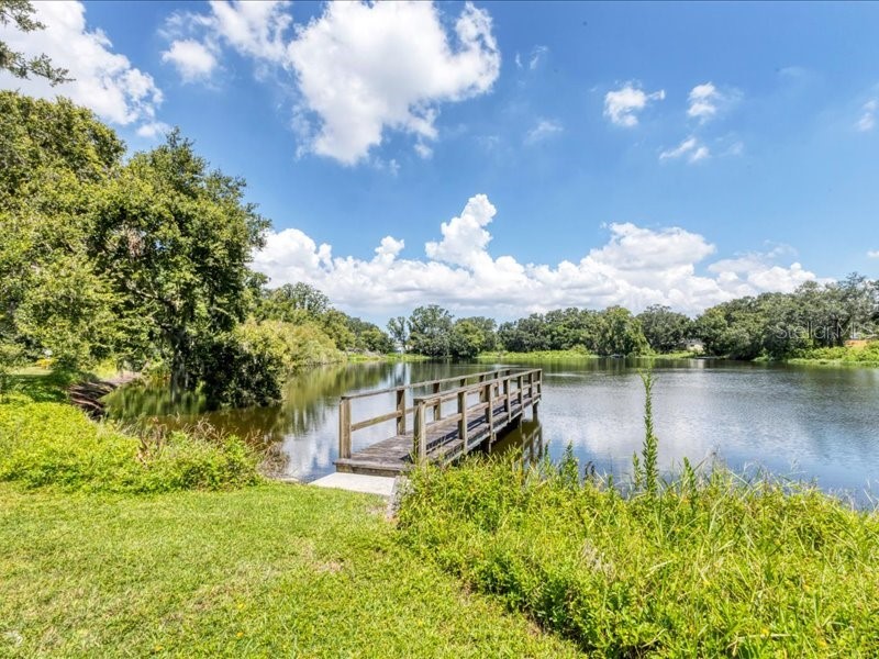 907 Heritage Groves Drive Brandon FL 33510 TB8414344 image72