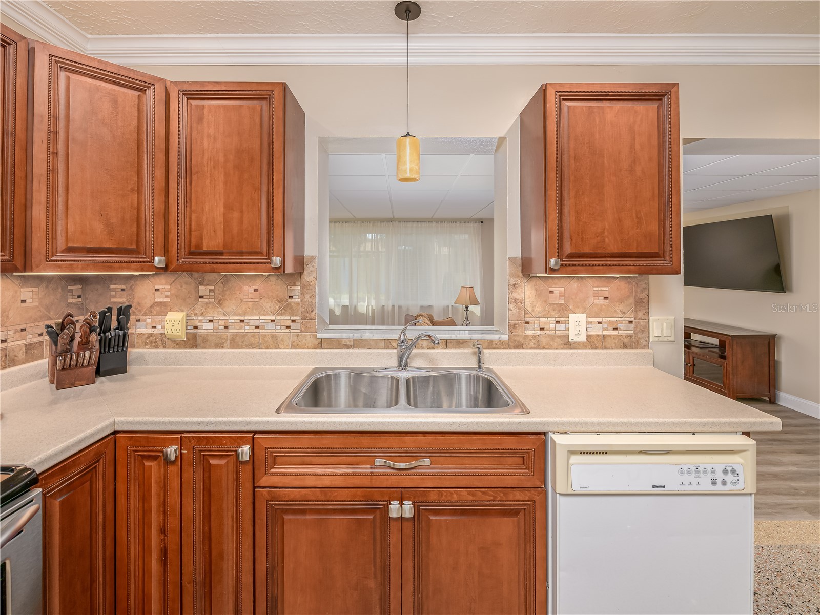 907 Hillside Terrace Brandon FL 33511 TB8487063 image10