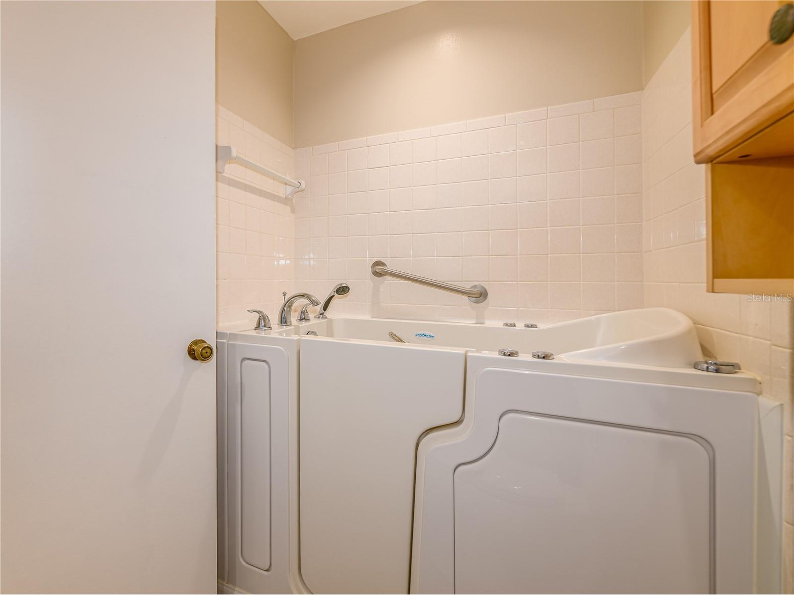 907 Hillside Terrace Brandon FL 33511 TB8487063 image28