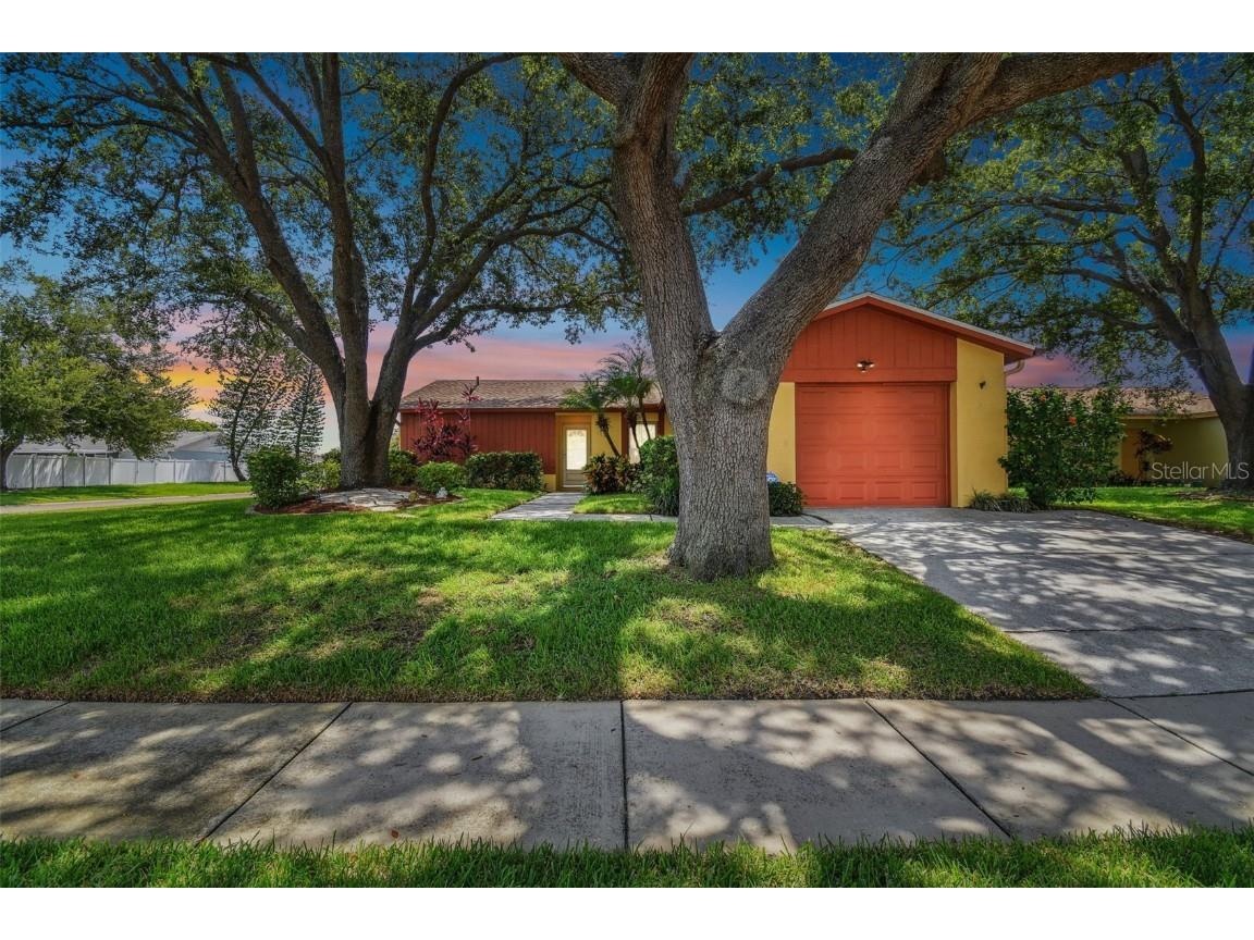 907 Old Field Drive Brandon FL 33511 T3463939 image1