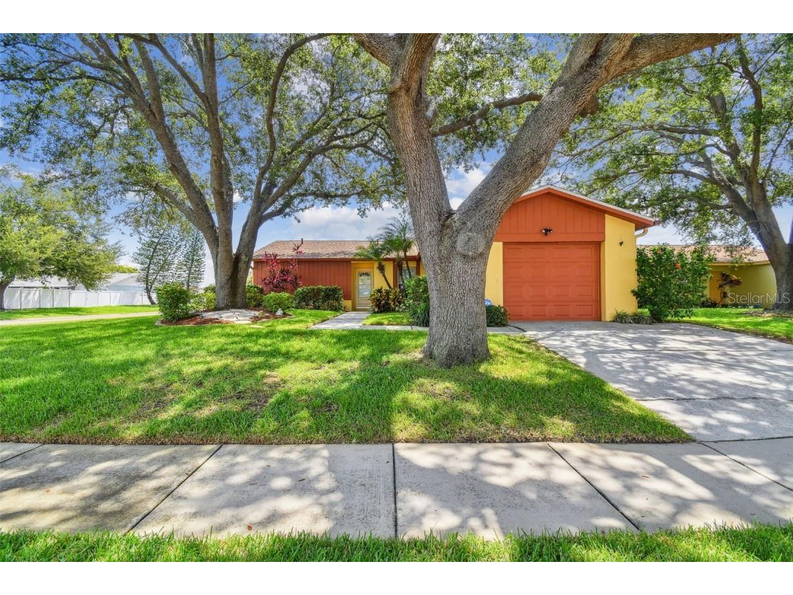 907 Old Field Drive Brandon FL 33511 T3539571 image1