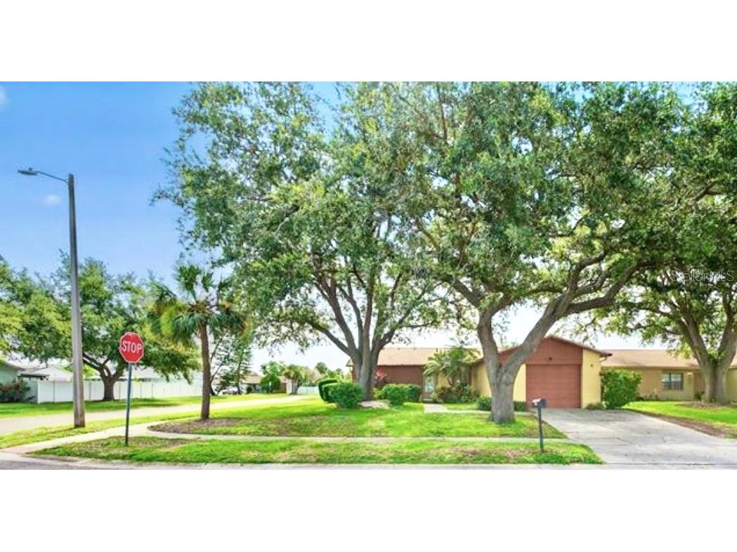 907 Old Field Drive Brandon FL 33511 TB8409265 image26