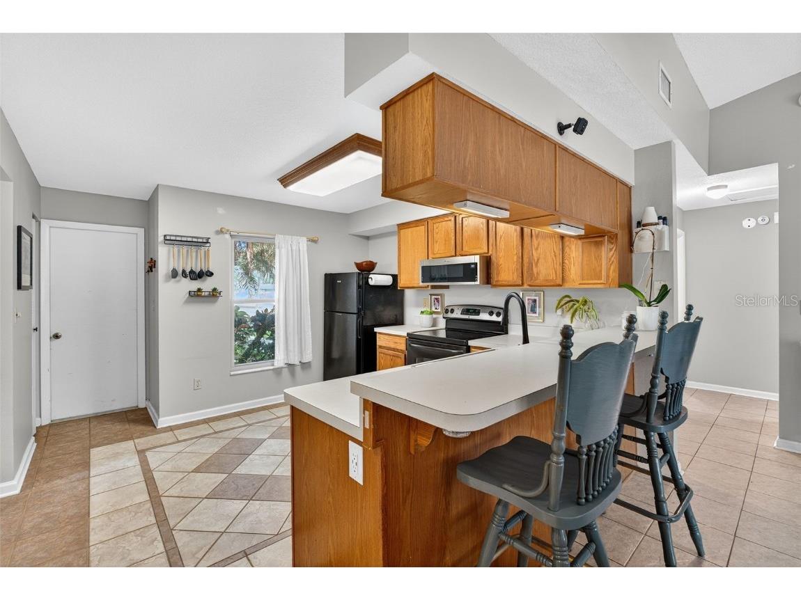 907 Old Field Drive Brandon FL 33511 TB8409265 image9