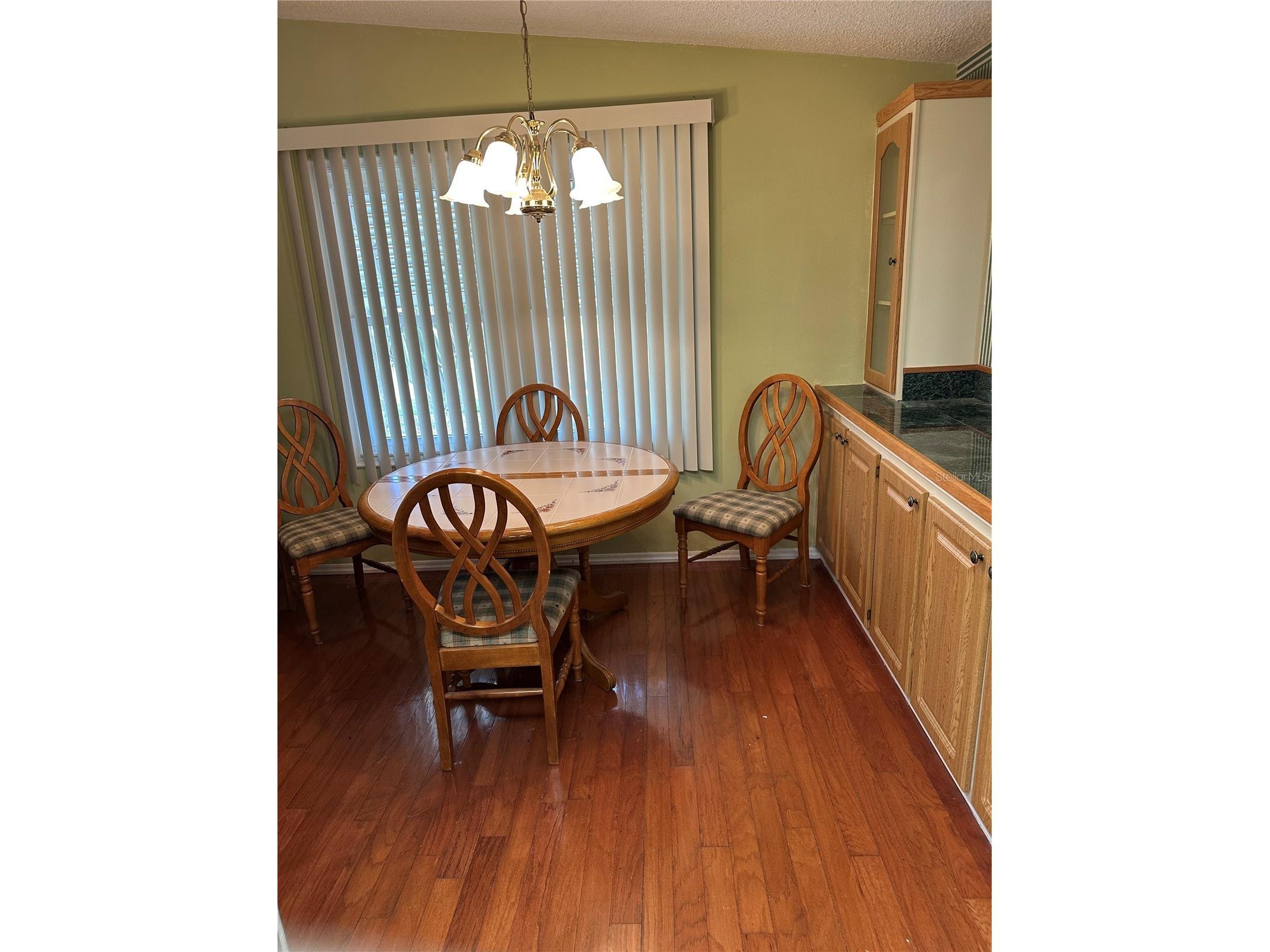 907 Orchid Street The Villages FL 32159 G5111273 image12
